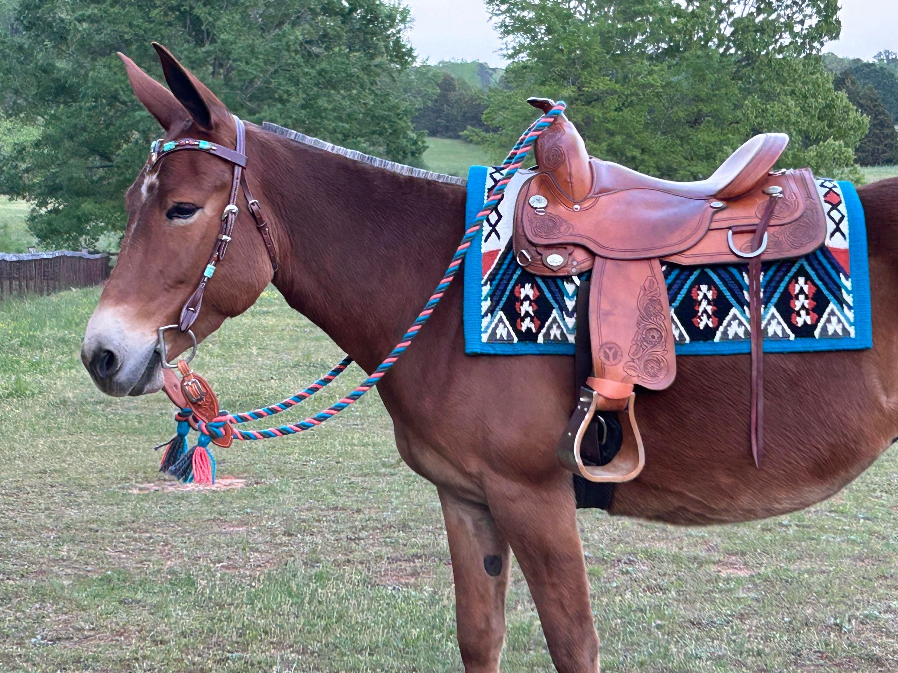 Wool Saddle Blanket ~ Midnight Rider image 0