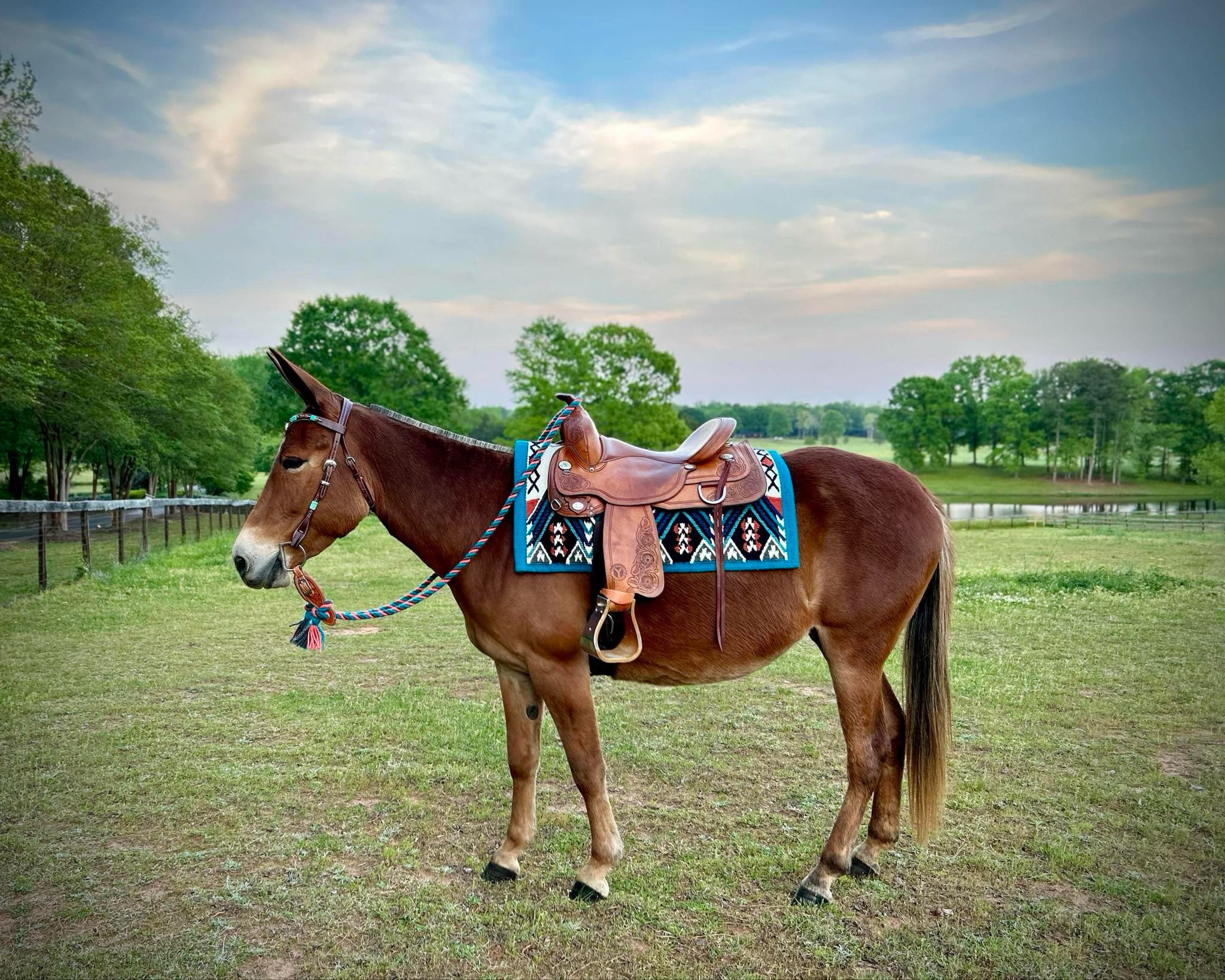 Wool Saddle Blanket ~ Midnight Rider image 2