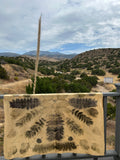 Llano #5 ~ Wild-Wild Rag "Monday at Big Rock Creek"