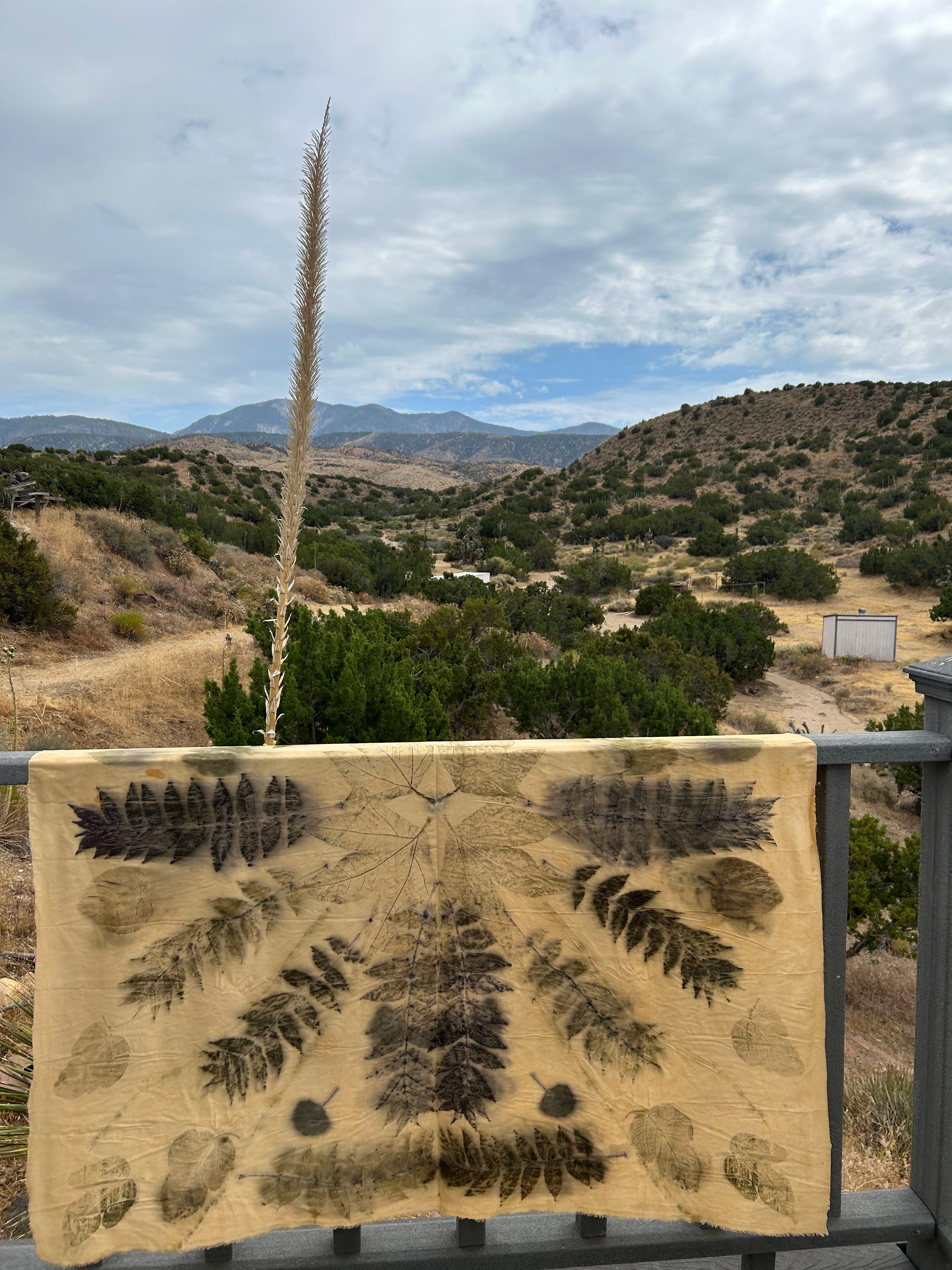 Llano #5 ~ Wild-Wild Rag "Monday at Big Rock Creek"