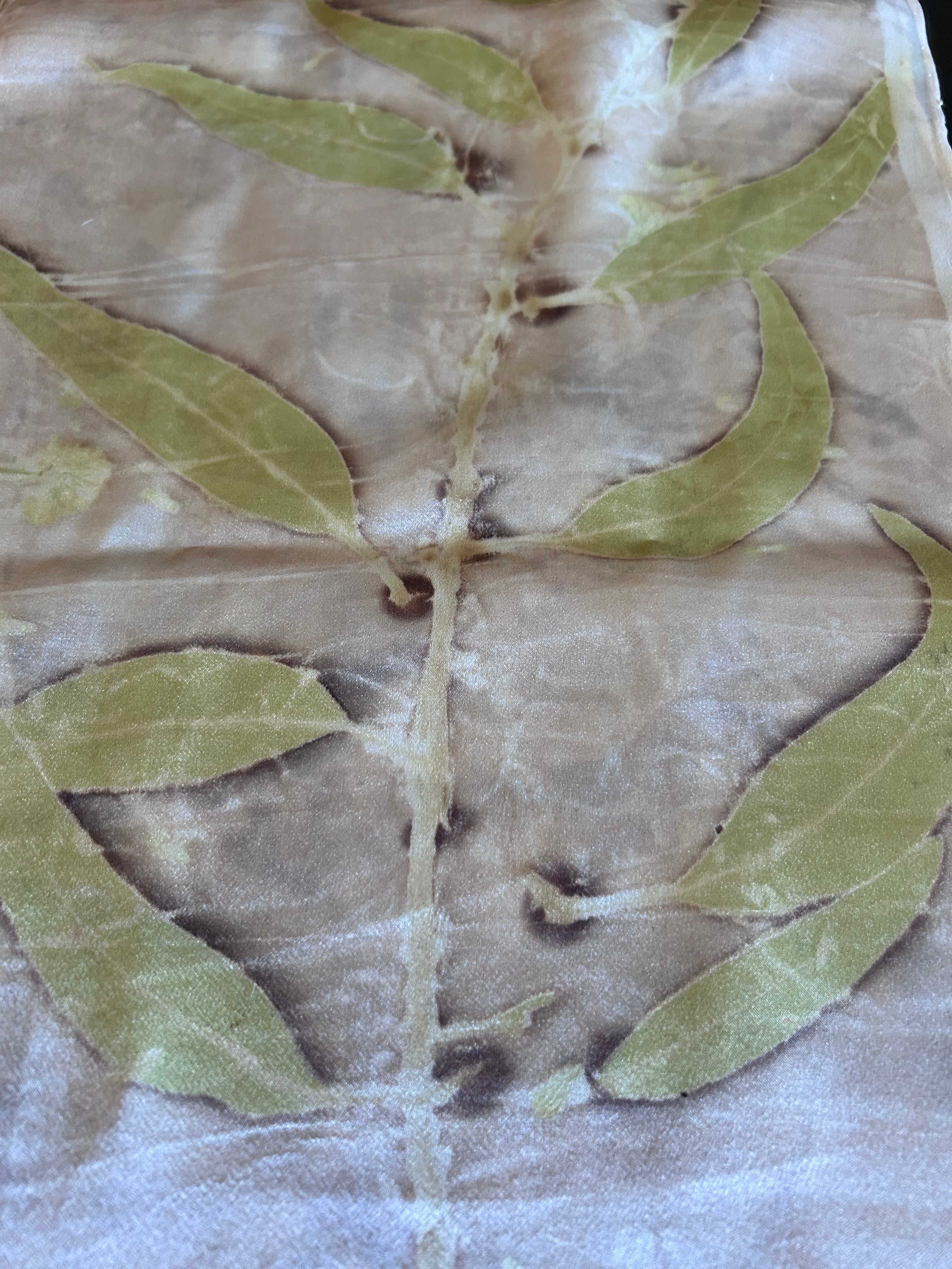Llano #9 ~ Wild-Wild Rag, "The Third Dimension"