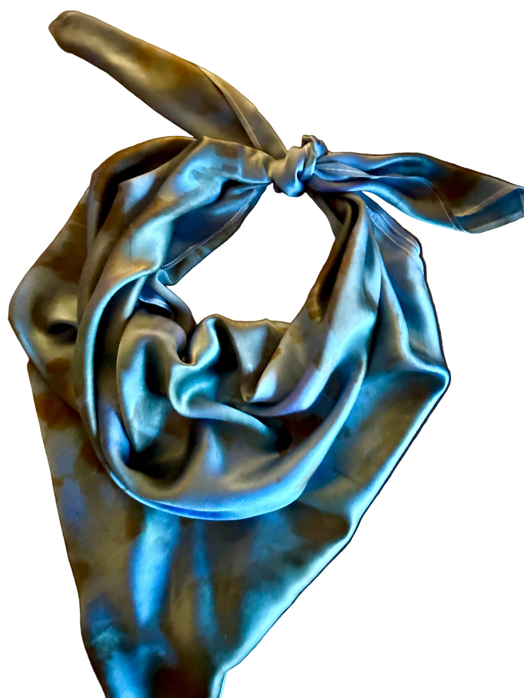 Wild-Wild Rag  image 2
