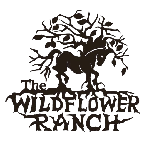 The Wildflower Ranch Creative
