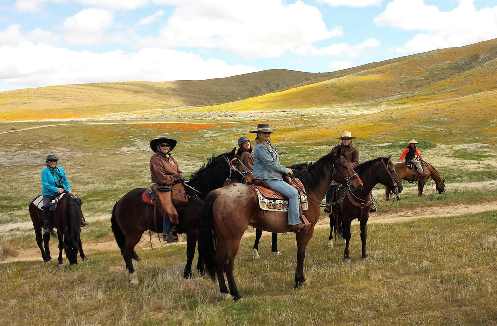 The Wildflower Ranch Creative ~ Gift Card