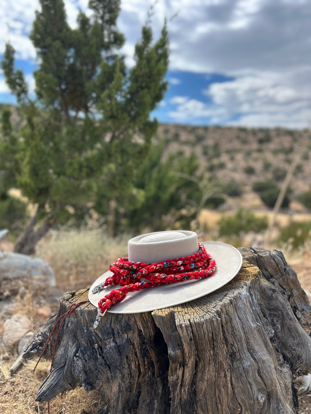 Silk and Mohair Single Loop Reins ~ Cowboys on Red