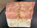Wild-Wild Rag, Rose